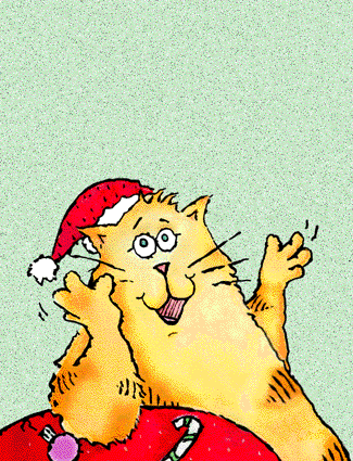 santacat.gif